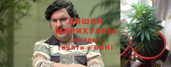 гидра Покров